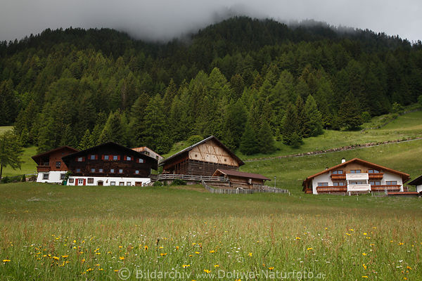 Pufels Naturbild Bauernhof Urlaub+Residence Rumanon unter Seiser Alm Waldhngen