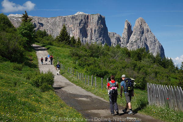 SeiserAlm Natur Wanderer Dolomiten Urlauber Sdtirol Alpen