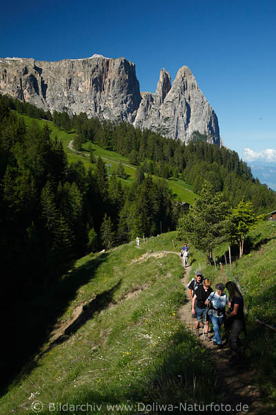 Wandern in Dolomiten-Panorama Seiser Alm Natur, Urlauber auf Pfad vor Santnerspitze in Bild Sdtiroler Alpenlandschaft