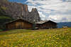 1101232_ SeiserAlm bunte Bergwiesenflora Blumenblte vor Berghtten Landschaftsfotos vor Schlern Felsen
