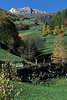 0830_Bergwiesen Weidestufen zum Bauernhof in Sdtirols Herbstfarben Naturfoto am Almhang unter Bergfelsen im Martelltal