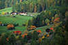 0706_Bauernhof an Steilwiese im Martelltal Sdtirols Farm hoch in Lrchenwald bunten Herbstfarben