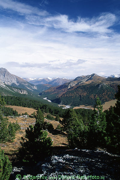 Ofenpass Blick auf Rtischen Alpen Nadelwlder karge Berglandschaft Naturbild Mnstertals