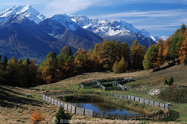 Sdtirols Berge Alpenpanorama im Schnee Naturfoto Almteich Herbstfarben herrliche Bergkulisse