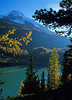 0815_Zufrittsee bunte Herbstfarben Naturfotos romantischen Berglandschaft Lrchen am Grnwasser vor blauen Bergspitzen