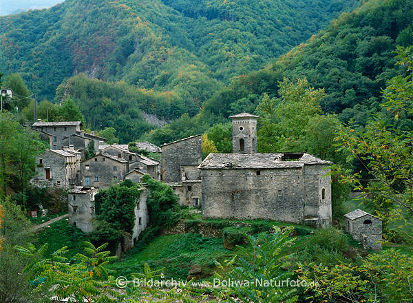 Zerfallene Burg in Bergwald bei Castelnuovo di Garfagnana Foto, Apuanische Alpen altes Dorf