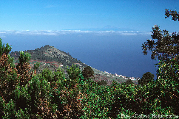 La Palma Ostkste grner Norden Dorf am Meer Blick zu Insel Teneriffa