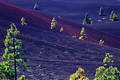 Vulkan Lava Berghang Pinien grne Kiefernbume auf Asche schwarz-blau-rot Naturbild