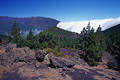 Passatwolke fliesst ber Gebirgskamm Cumbre Nueva Naturphnomen Vulkaninsel La Palma