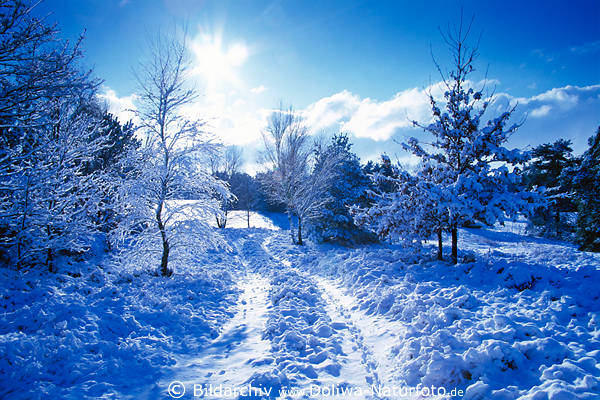 Sonne Gegenlicht ber Heide-Schneeweg Natur-Winterlandschaft