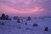 3021_Stimmung winterlichen Lneburger Heidelandschaft Naturfoto nach Sonnenuntergang in Dmmerung