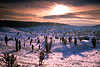 3024_Sonne Gegenlicht ber Heidelandschaft Winterbild Totengrund Hgel Glanz Schnee Romantik Naturfoto