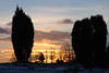 700233_Bume Strucher am Winterhimmel Sonnenuntergang Gegenlicht Stimmung Naturfoto Lneburgerheide