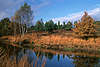 Wmme Fluss Naturbilder Flussquelle Herbstfoto LneburgerHeide Gewsser Flussursprung