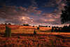 1091_Heidelandschaft Romantik Natur Bilder Wolken ber rote Heidehgel bei Sonnenuntergang
