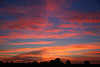 Heidelandschaft Rotwolken nach Sonnenuntergang Bume Silhouetten am Blauhimmel