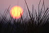 700512_Sonne rotgelbe Kugel ber Heidegrser in Gegenlicht Naturbild Lneburger Heide