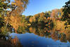 Brunausee Herbststimmung Naturfotos Wasserlandschaft LneburgerHeide Uferbume Goldfarben