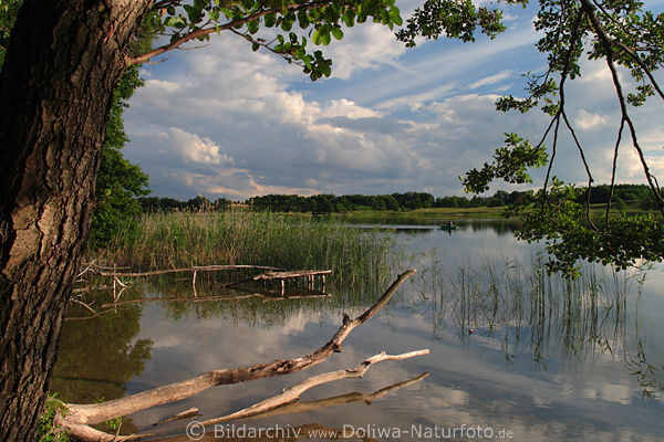 Naturlandschaft Masuren urige Romantik am Wasser Martinshagener See Mazury