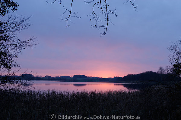 Masuren See-Dmmerung vor Sonnenaufgang ber Brassendorf Wasserlandschaft