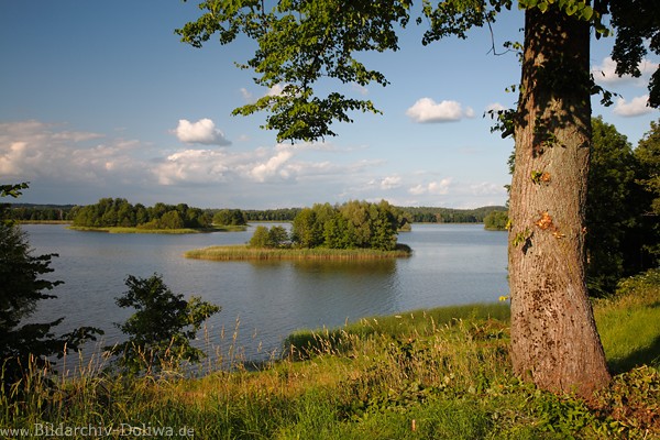 Gablick-See Inseln Wasserlandschaft Masuren Naturufer Baum Seeblick Ostpreussen Mazury jezioro Gawlik