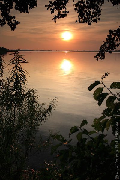 Masuren Sonne ber Schwenzait-See Wasserhorizont romantische Spiegelung Naturfoto