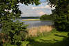 Masuren Gablick-See Grnufer Insel Schilf Bume Wasserlandschaft Naturfoto Mazury jezioro Gawlik