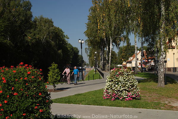 Ltzen Birkenallee Spaziergang am Kanal Luczany in Gizycko Masuren Foto