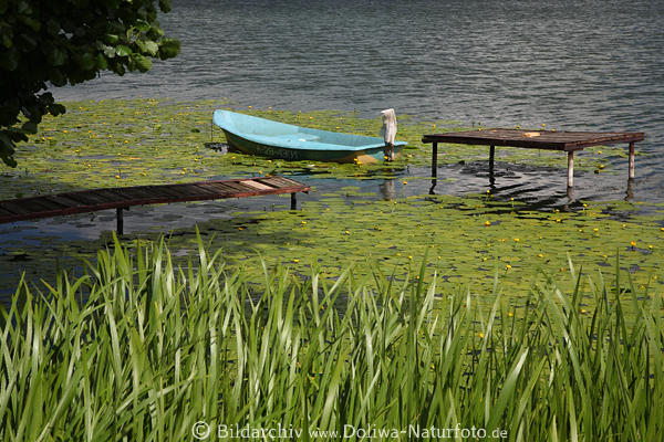Masuren SeeUfer Landschaft Boot Stegs in Wasserpflanzen Sensburger Czos
