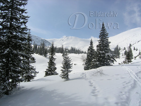 Hohe Tatra Natur Winterromantik Foto weisse Berglandschaft in Schnee Fichten Bume