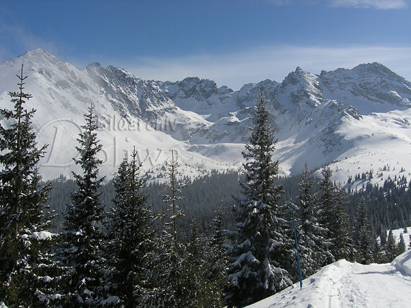 Gipfel Hohe Tatra in Schnee Berge Panorama Winterlandschaft Naturbild ber Bume im Tal