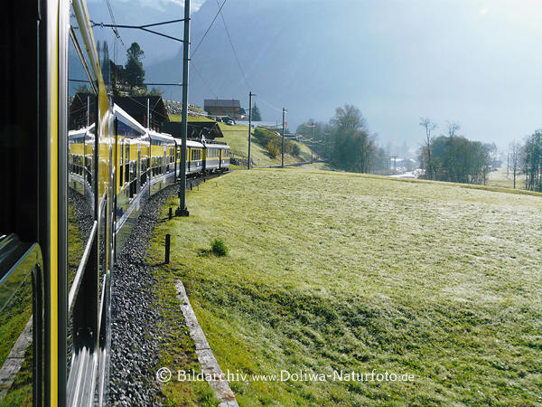 Zug Bahnstrecke Kurve durch grne Talwiesen Berner Oberland Alpenfahrt