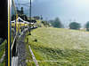 EA-0137_ Reisezug auf Bahnstrecke durch grne Talwiesen im Berner Kanton und Berner Alpen
