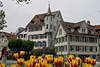 600714_ St. Gallen Stadtfoto: Tulpen Rabatten vor Fachwerkhusern in Sankt Gallen Kantonhauptstadt
