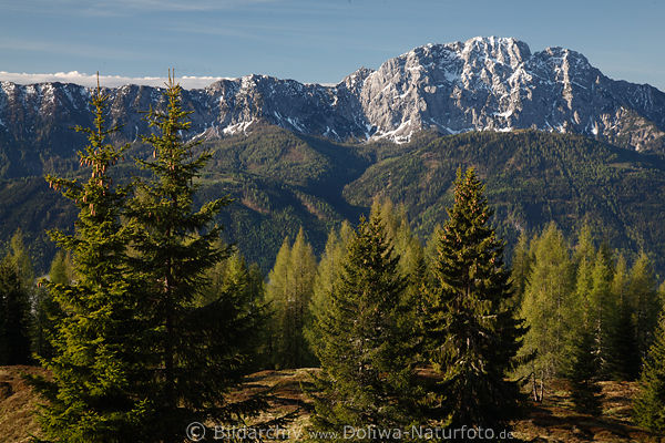 Reikofel Felsenwand Bergpanorama Naturbild Gailtaler Alpen
