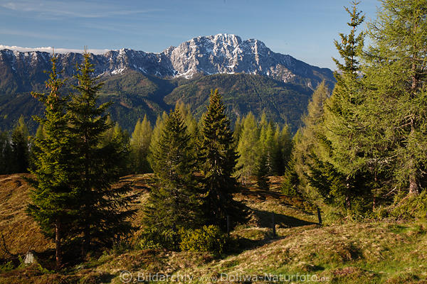 Reikofel Naturbild Gailtaler Alpen Bergpanorama
