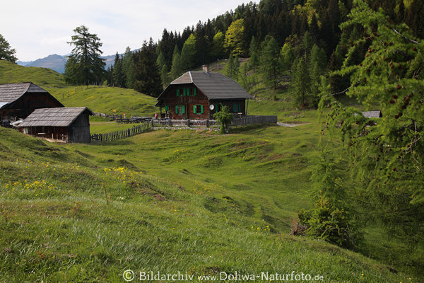 Waisacher Alm Landschaftsfoto Naturidylle Htte grner Wald Grnwiese Gailtaler Alpen