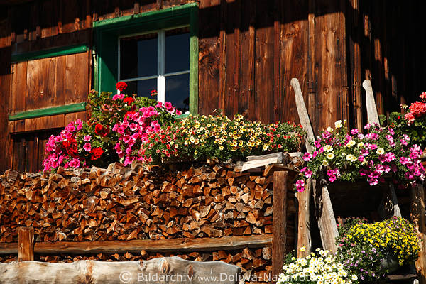 Gotschaunhtte urige Holzwand mit Blumenschmuck um Fenster