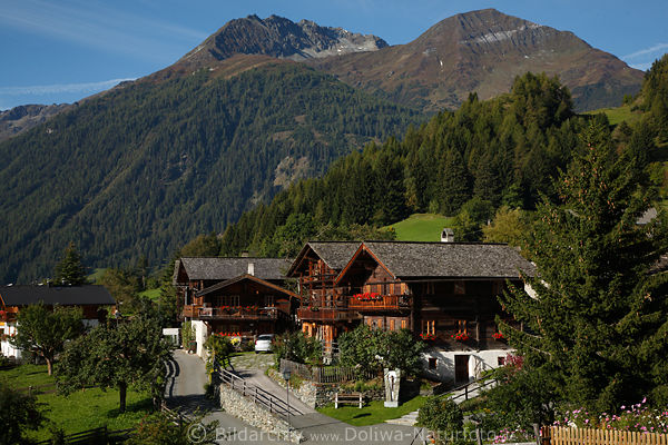 Alpendorf Obermauern urige Holzhuser unter Gipfel Berglandschaft Virgental Osttirol