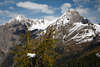 005146_Osttirol felsige Gipfel Kendlspitze vor Bretterwand Steilwnden links in Bild hinter gelben Lrche & Wlder im Tal