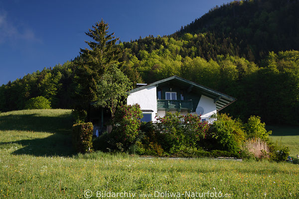 Wohnhaus Naturidylle am Bergwald Grnwiese Landschaft ber Wolfgangsee