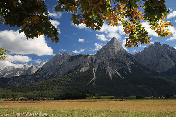 Wetterstein Bergmassiv Alpengipfel Naturfoto Felsspitzen Wandhnge Herbstbltter