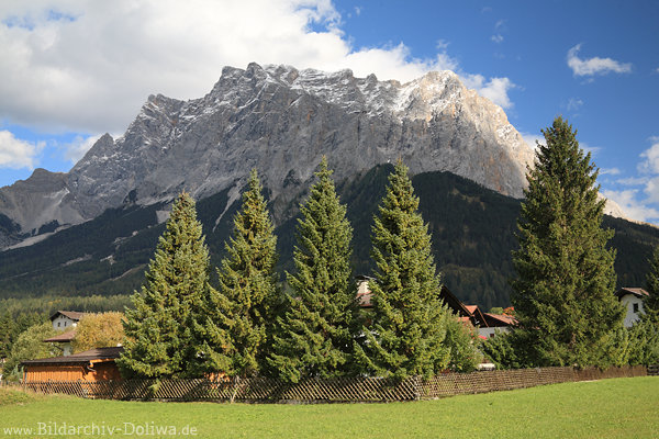 Zugspitze Bergmassiv Wettersteingebirge Alpenfoto Grnwiese Tal Naturbild