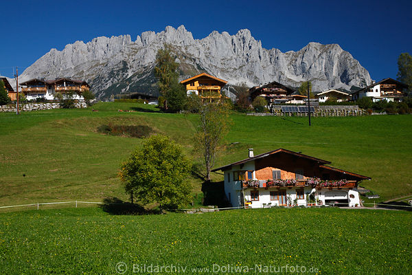 Going Wilder-Kaiser Bergpanorama Bauernhfe Gstehuser Tirol Grnidylle