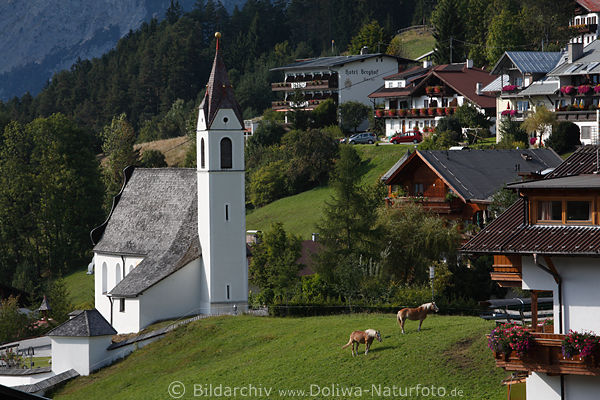 Mserer Kirche Dorfwiese Pferde Foto hbscher Bergdorf mit Pensionen im Tiroler Oberland