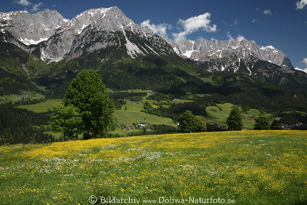 Oberberg Blumenwiese Kaiser-Blick Tal Panorama Frhling grne Landschaft Foto