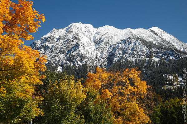 Alpen Bergmassiv Nebelhorn Schnee weisser Winter Allgu Natur goldene Herbstfarben