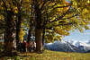 813095_ Oberstdorf Naturbild Romantik Goldenherbst Allee mit Wanderer in Allgu Landschaft Alpen in Schnee