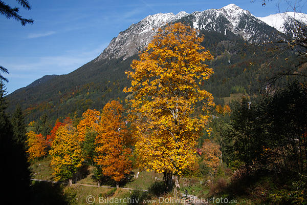 Oberstdorf Hofmannsruh Wanderweg Foto herrliche Herbstlandschaft unter Alpengipfel mit Schnee
