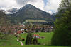 Oberstdorf Bergkulisse Allguer Alpenstadt-Foto Grnewiesen Naturidylle Frhlingsreise Gipfelblick